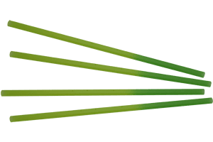 Green Colour Changing Straws