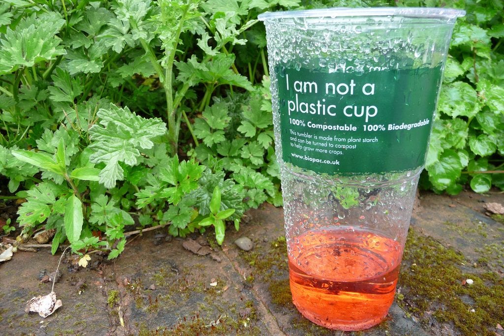 compostable drinks cup