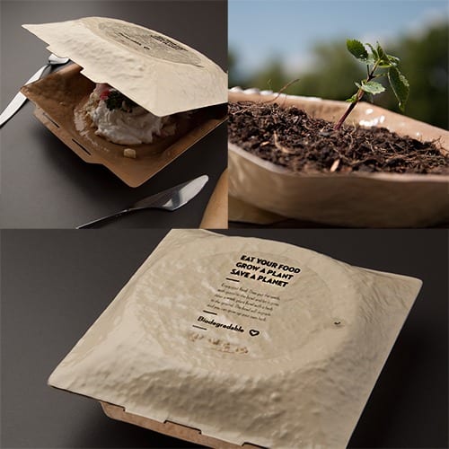 eco-friendly packaging ideas