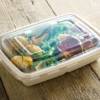 Bagasse Rectangular Containers 1050ml