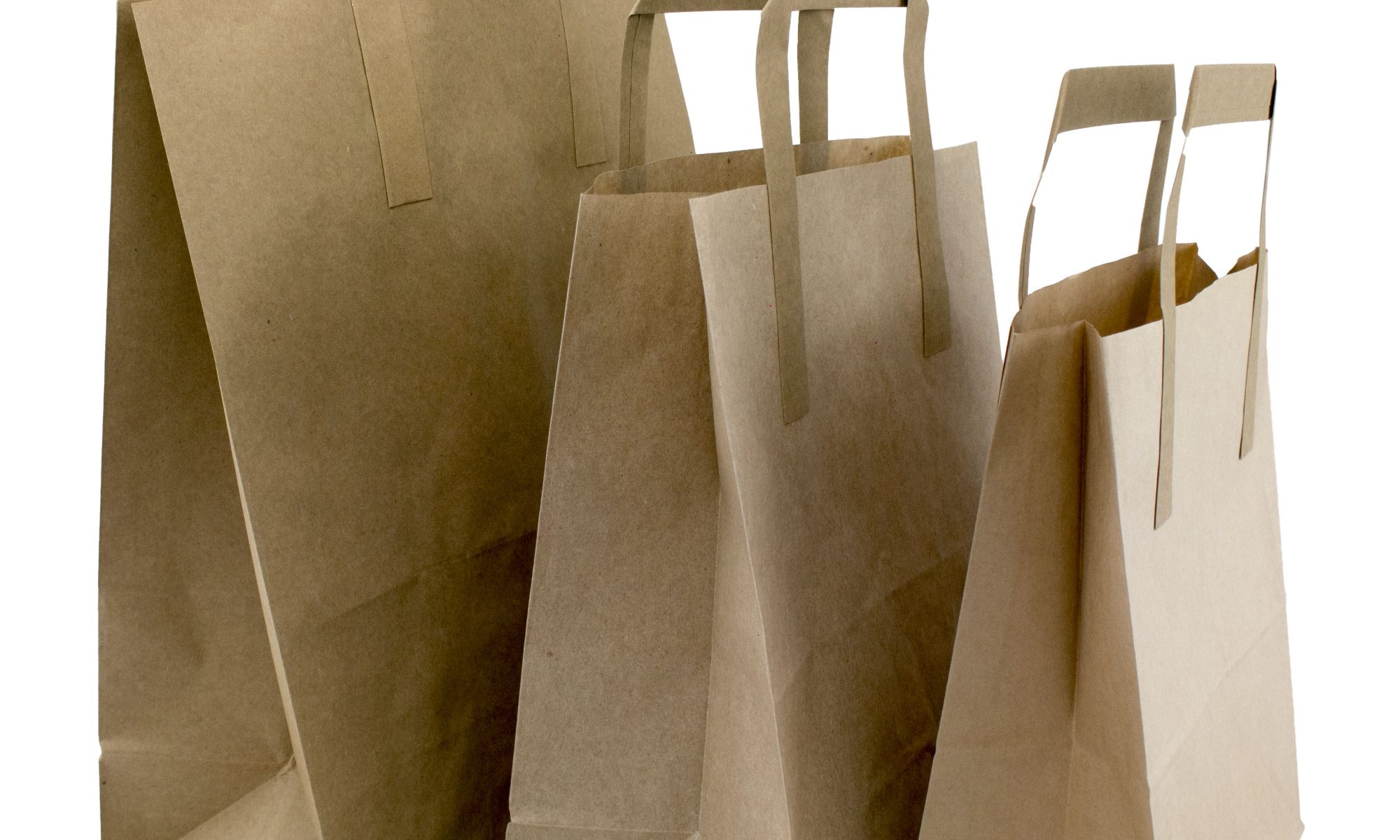 Biodegradable Paper Bags and Food Carriers