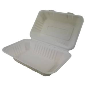 Bagasse Box 9x5 inch Clam open