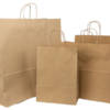Twisted Handle Paper Bags Category image