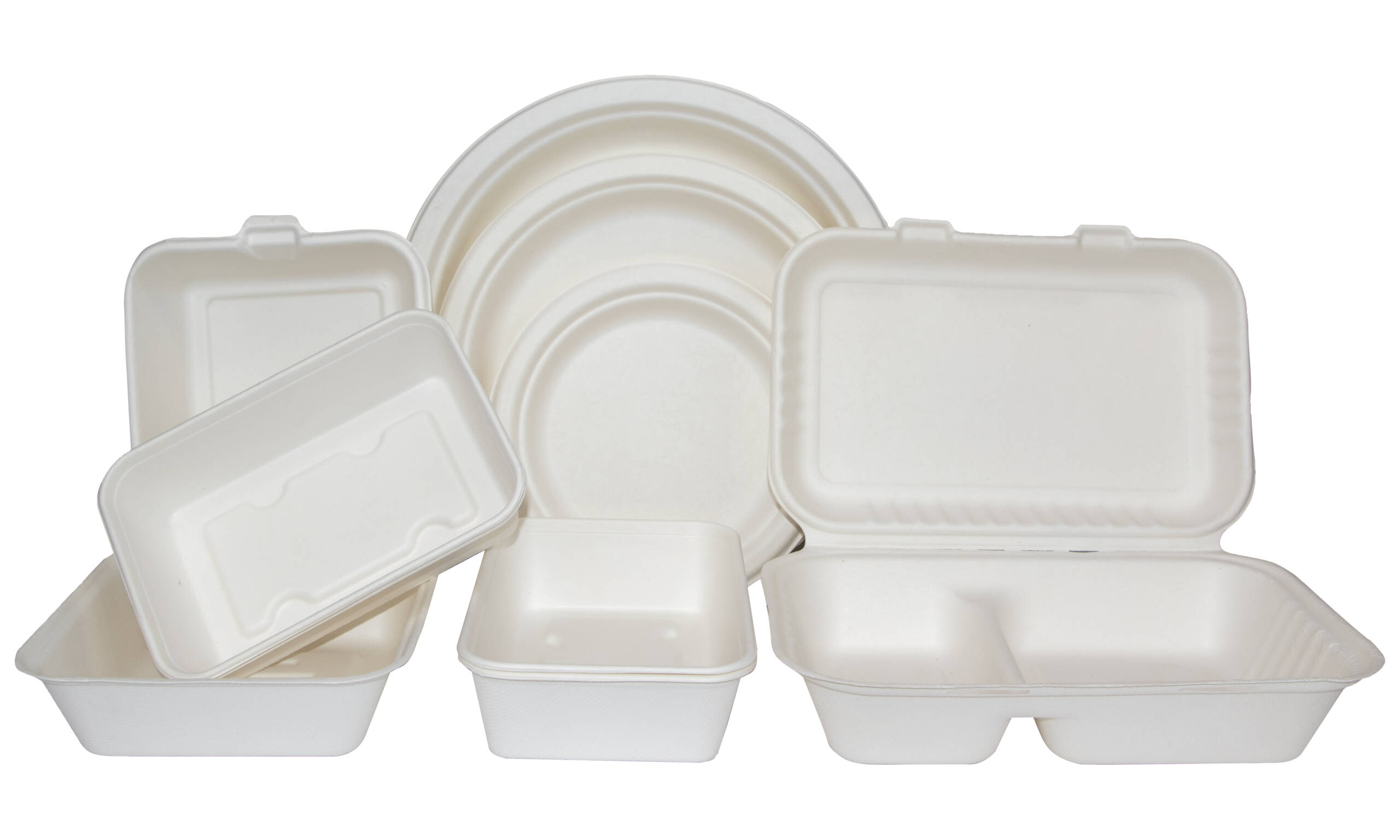 Bagasse Clamshell and Tableware