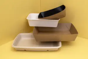 Kraft Trays and Bagasse