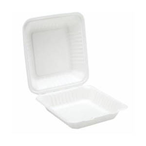 9x9 Clamshell Meal Box Bagasse Compostable Food Packaging TP3847 copy