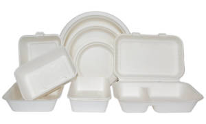 Bagasse-Clamshell-and-Tableware-1-1024x614