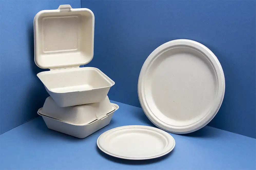 New Natural Coloured Bagasse plates and burger boxes