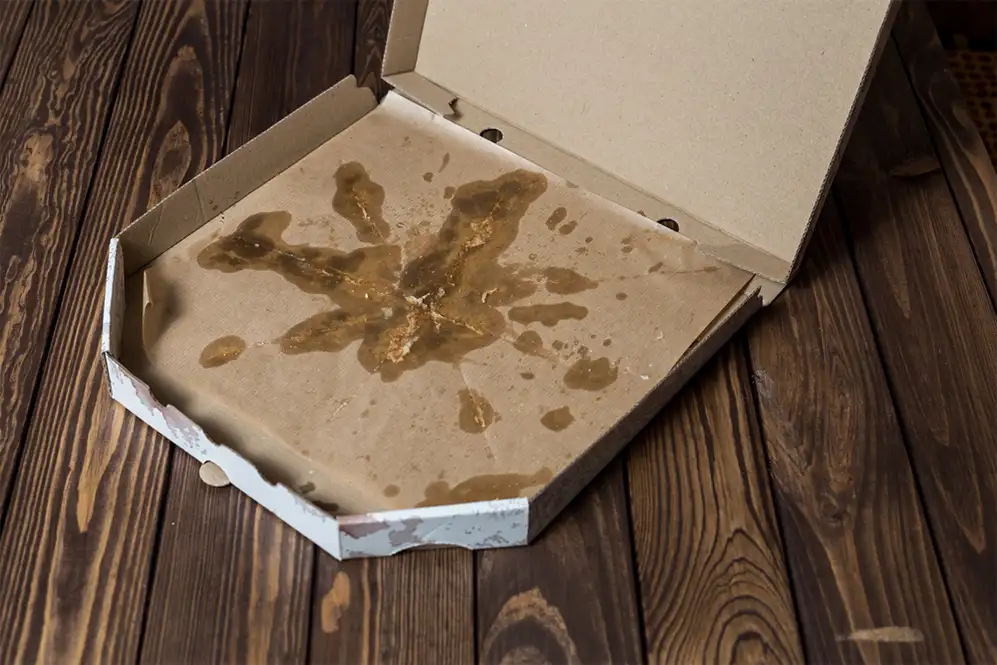 Can You Recycle Greasy Pizza Boxes
